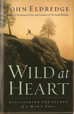 The book cover of Wild at Heart